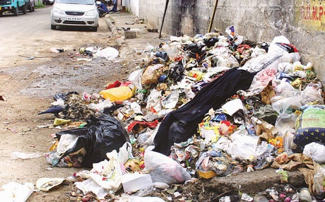 Swadeshi Hind Party - Waste & Pollution challenge in India